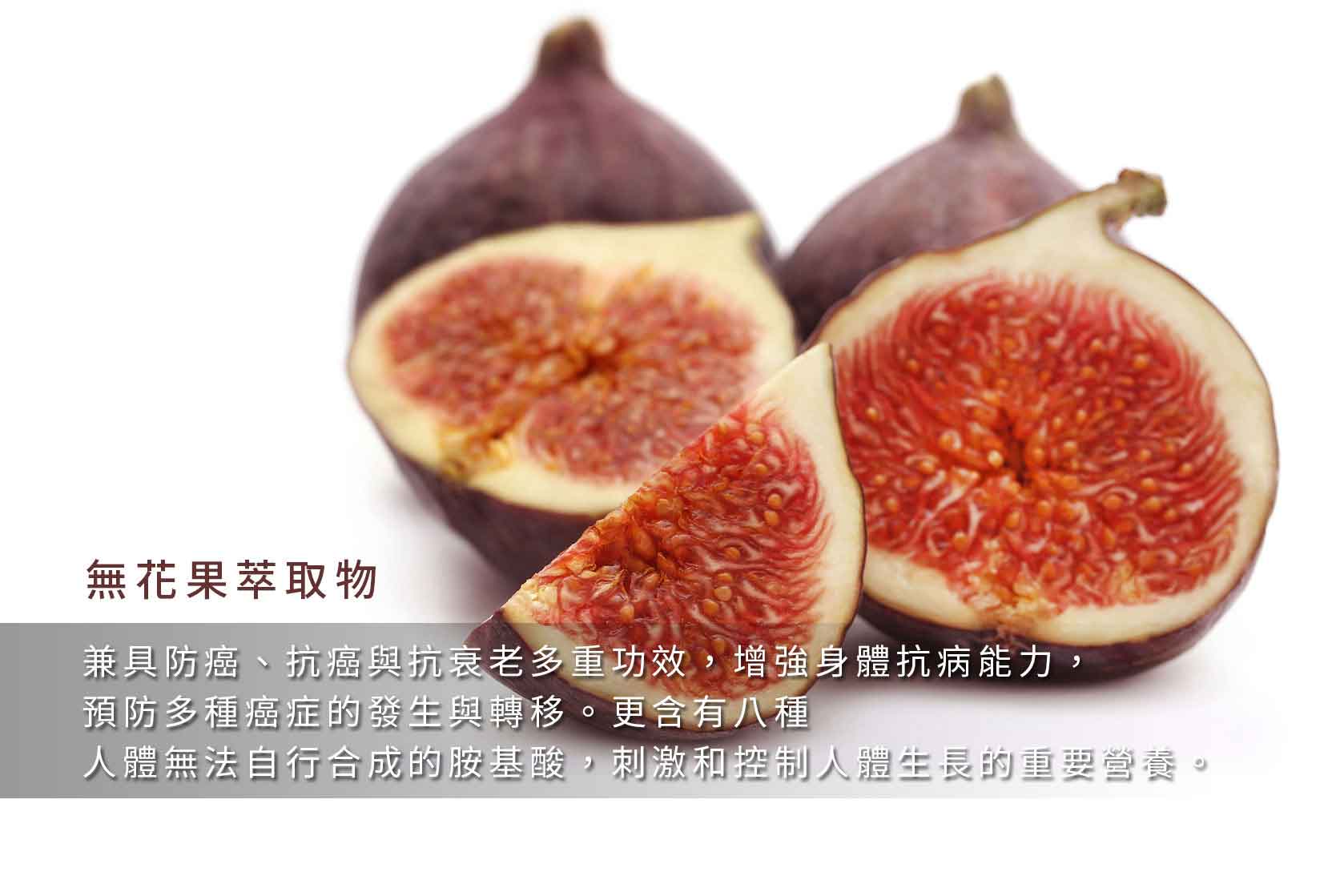 『讚恩』九種萃取物-無花果萃取物(Ficus carica Extract)